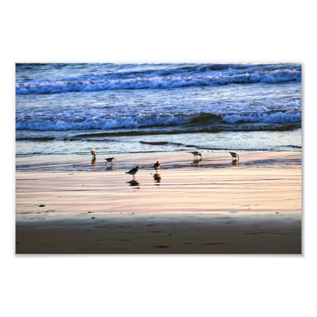 El Porto Manhattan Beach Photo Print (Front)