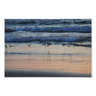 El Porto Manhattan Beach Photo Print