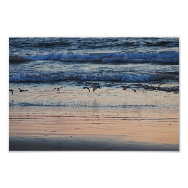 El Porto Manhattan Beach Photo Print (Front)