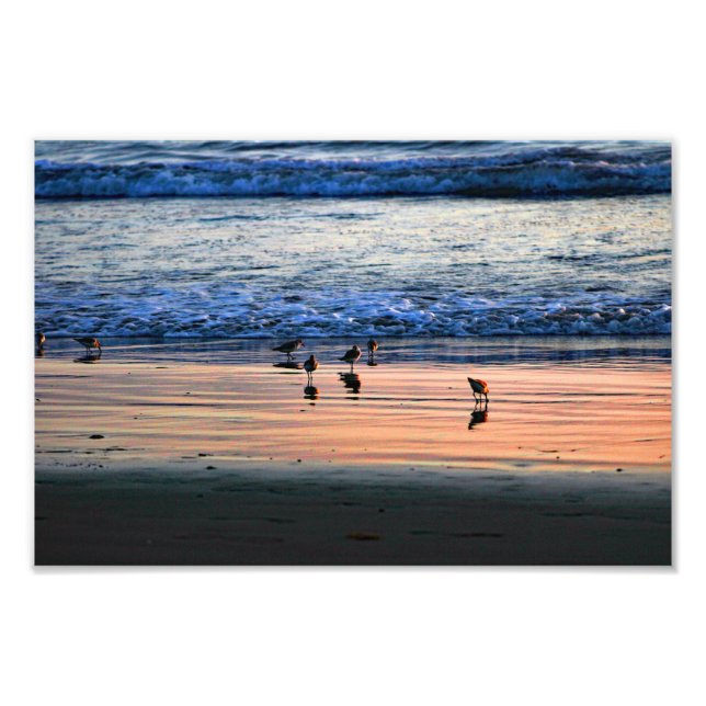 El Porto Manhattan Beach Photo Print (Front)