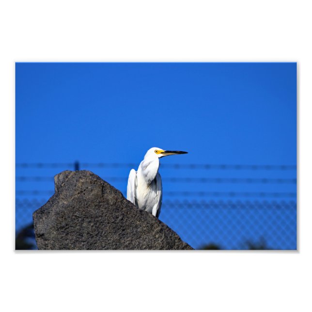 El Porto Manhattan Beach Photo Print (Front)