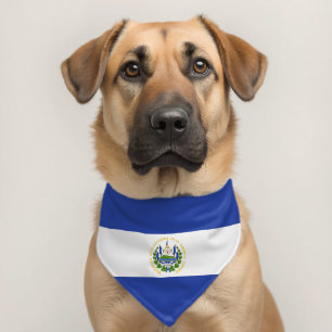 El Salvador flag Pet Bandana Collar