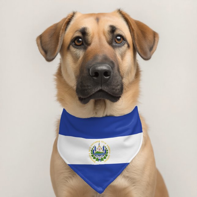 El Salvador flag Pet Bandana Collar (Dog 2)