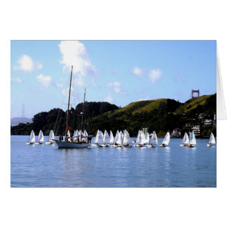 El Toro Race San Francisco Bay Cards
