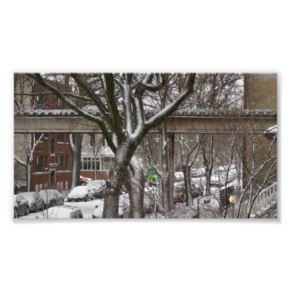 El Tracks Photo Print