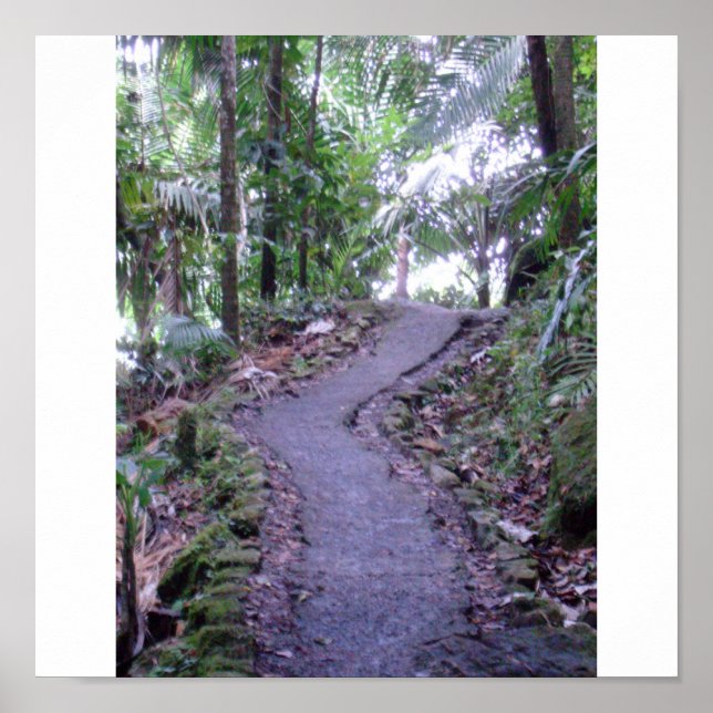 El Yunque National Forest Poster (Front)