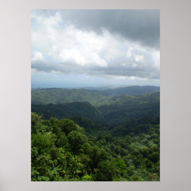 El Yunque National Forest Poster (Front)