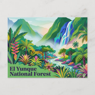 El Yunque National Forest Puerto Rico Postcard