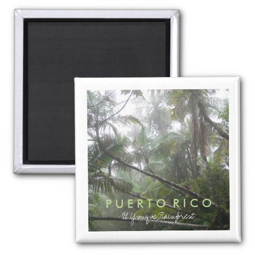El Yunque Puerto Rico Magnet