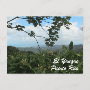 El Yunque, Puerto Rico Postcard