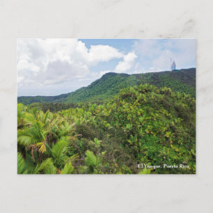 El yunque rainforest and communications tower post postcard