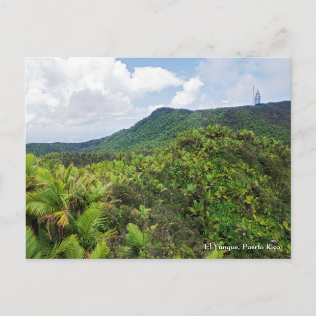 El yunque rainforest and communications tower post postcard (Front)
