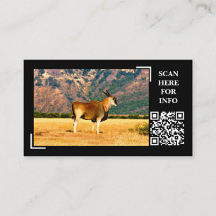 Eland Mountain Wildlife Photography Custom Business Card