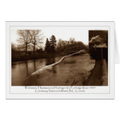 Elasmosaurus Gifts (Front Horizontal)