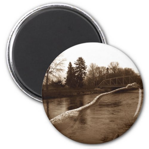 Elasmosaurus Gifts Magnet