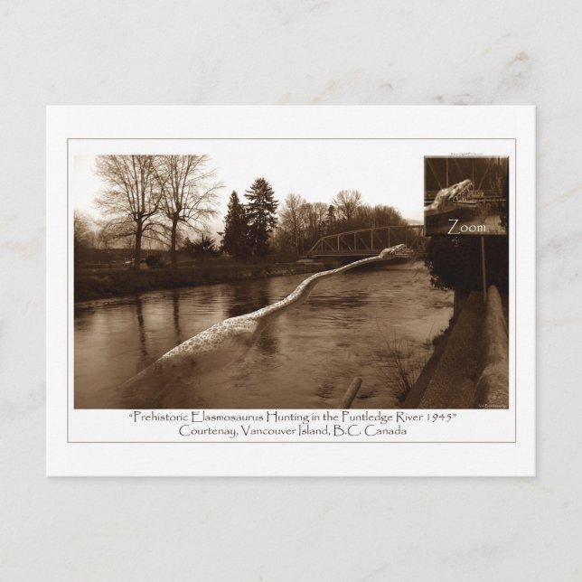 Elasmosaurus Gifts Postcard (Front)