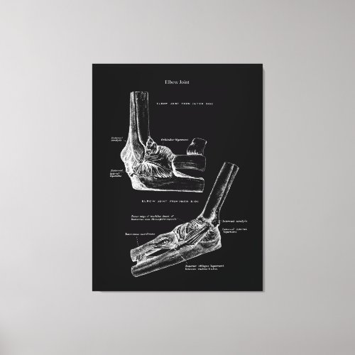 Elbow Joint Anatomy Canvas Art