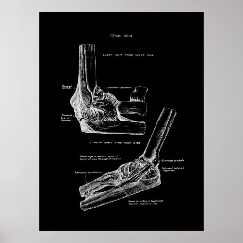 Elbow Joint Anatomy Orthopedic Wall Decor