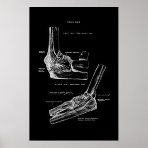 Elbow Joint Orthopedic Wall Decor