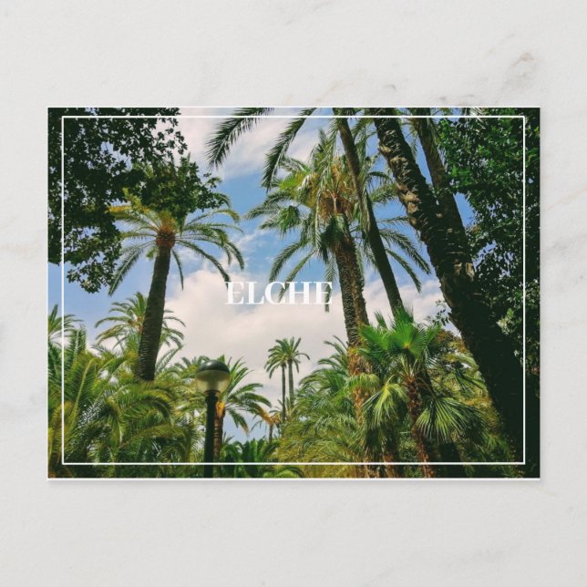 Elche Postcard  (Front)