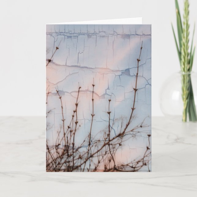 Elder Branches Silhouette Card (Front)