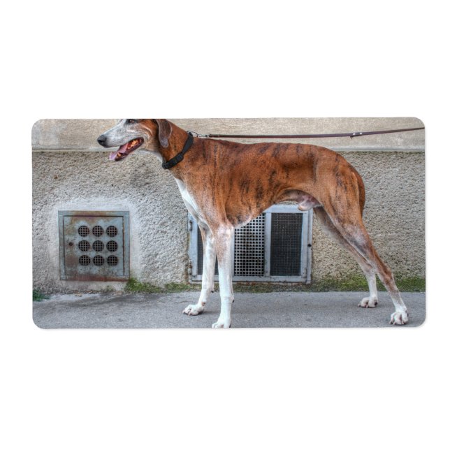 Elder Brindle Greyhound Label (Front)
