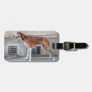 Elder Brindle Greyhound Luggage Tag