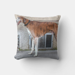 Elder Brindle Greyhound Throw Pillow