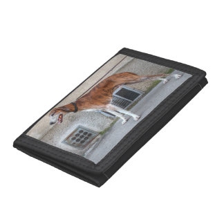 Elder Brindle Greyhound Tri-fold Wallet
