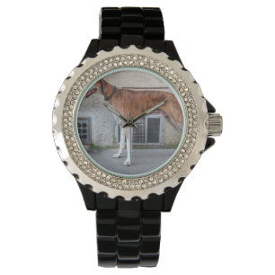 Elder Brindle Greyhound Watch