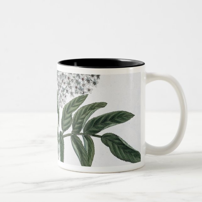 Elder, fig. 13 from 'The Young Landsman', publishe Two-Tone Coffee Mug (Right)