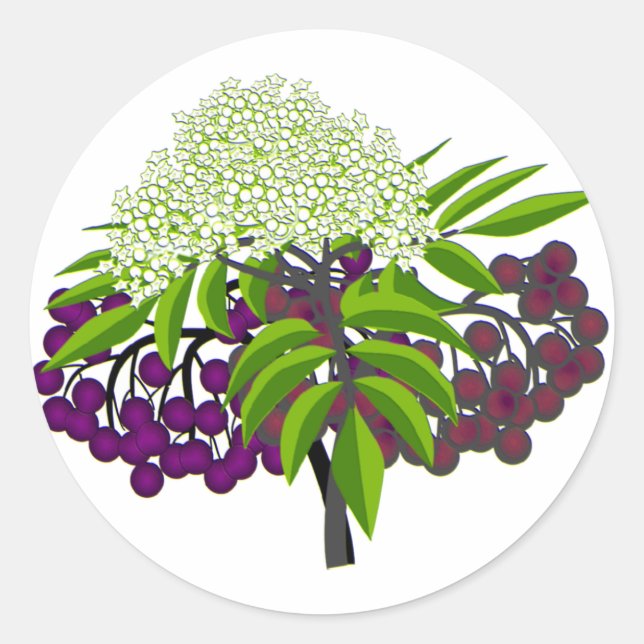 Elderberry Classic Round Sticker (Front)