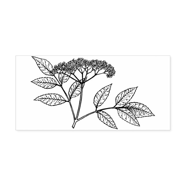 Elderberry plant Rubber stamp (Imprint)