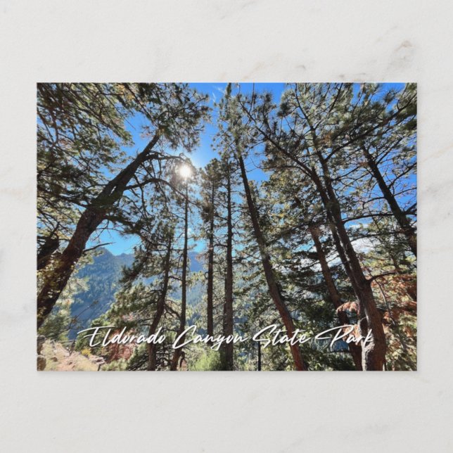 Eldorado Canyon, CO Postcard (Front)
