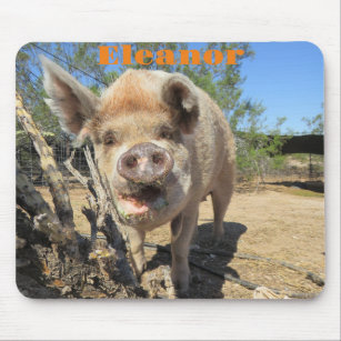 Pig Mouse Pad, Funny Office Supplies, Personalized Mousepad, Farmhouse  Decor