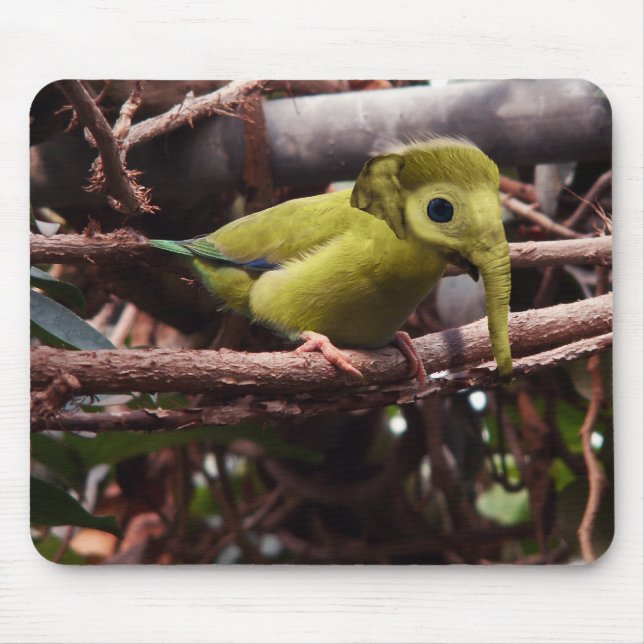 Elebird mousepad (Front)