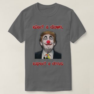 elect a clown, T-Shirt