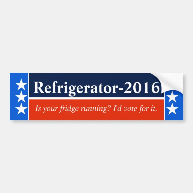 Election frustration bumper sticker (Front)