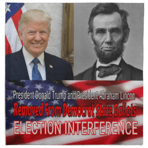 Election Interference Cloth Napkin