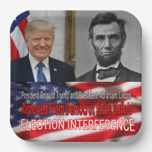 Election Interference Paper Plates