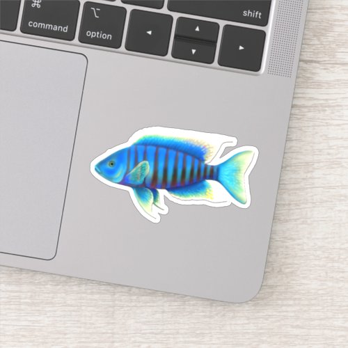 Electric Blue African Peacock Cichlid Fish Sticker