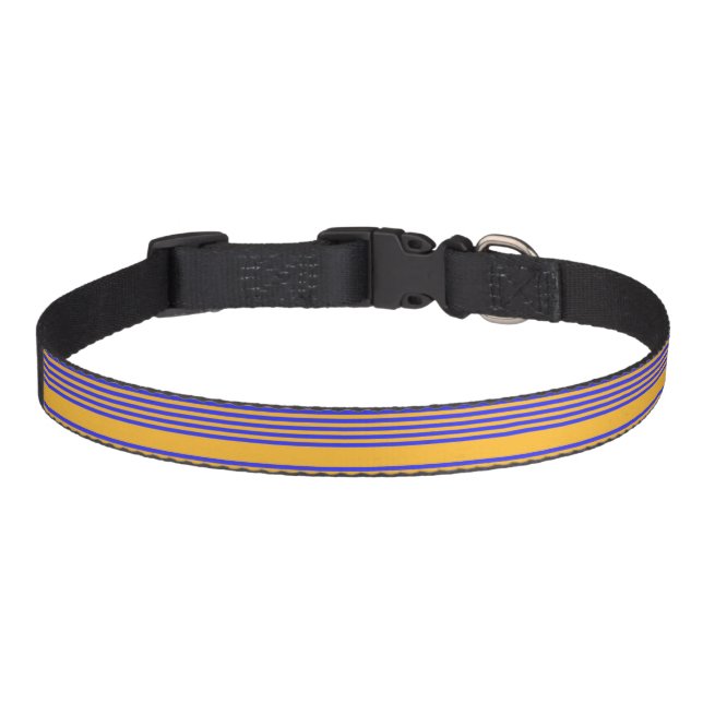 Electric blue and yellow five stripes pattern pet collar (Front)