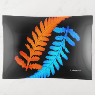 Electric Blue Fiery Orange Japanese Painted Ferns