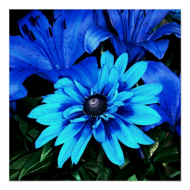 Electric Blue Flowers Poster (Front)