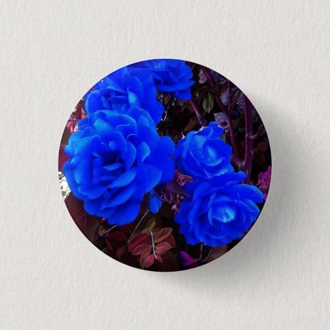 Electric blue Roses  Button (Front)