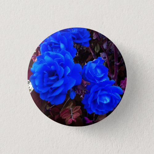 Electric blue Roses  Button