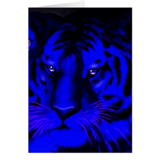 Electric Blue Tiger Cards (Front)