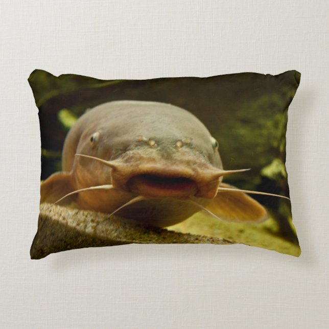 Electric catfish accent pillow (Front)