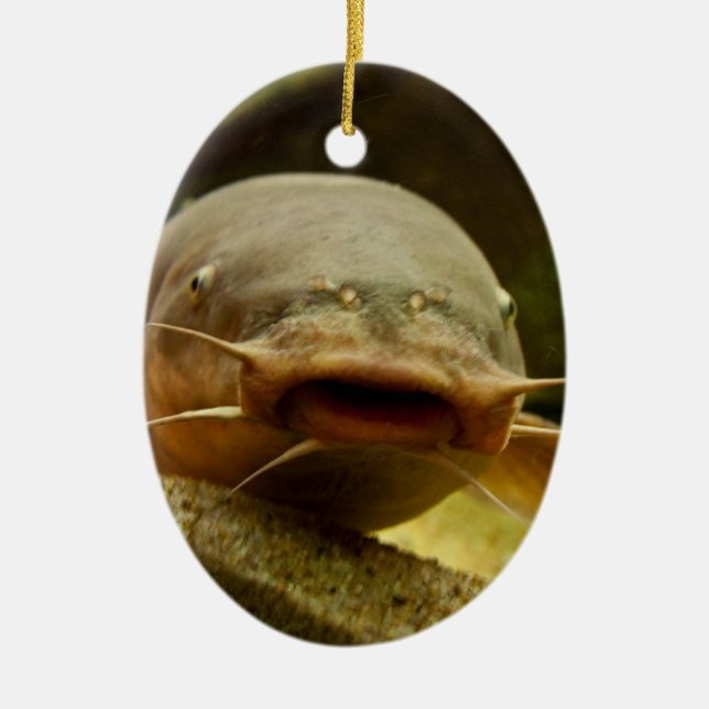 Electric catfish ceramic ornament (Front)