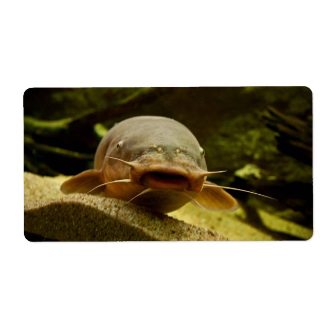 Electric catfish label (Front)